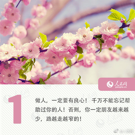 成全影视独家奉献：《继拇三》高清免费观看全解析