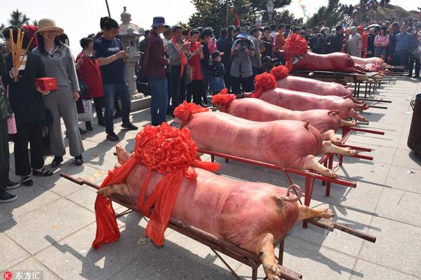 影响｜“su黑料正能量入口”引发热议网友赞其简洁无广告,助力