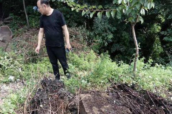超91福利国产在线观看全集在线-无广告超91福利国产在线观看免费