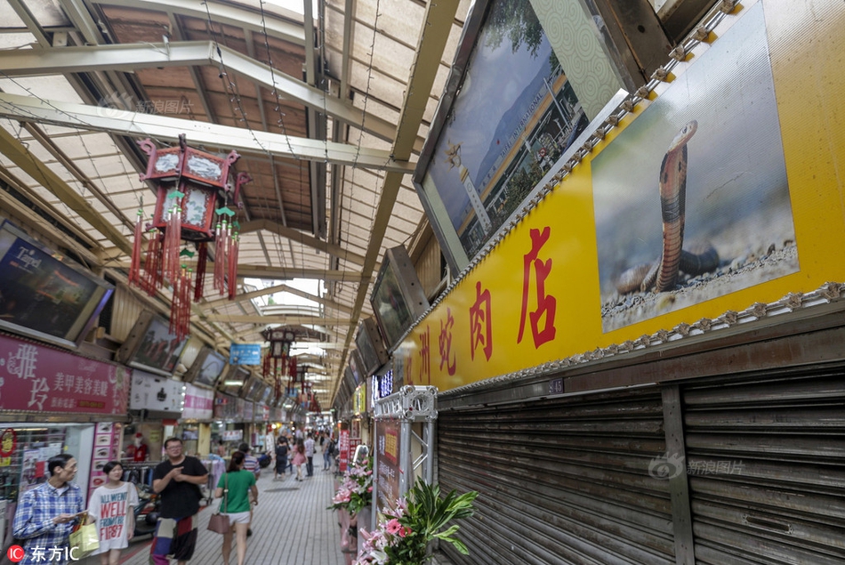 嗨唱转起来第一季免费观看完整版花蝴蝶高清免费-嗨唱转起来第一季