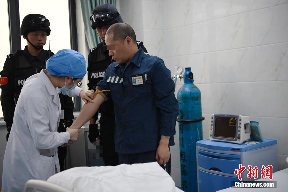 法国空姐电视剧全集,在线观看最新剧情介绍