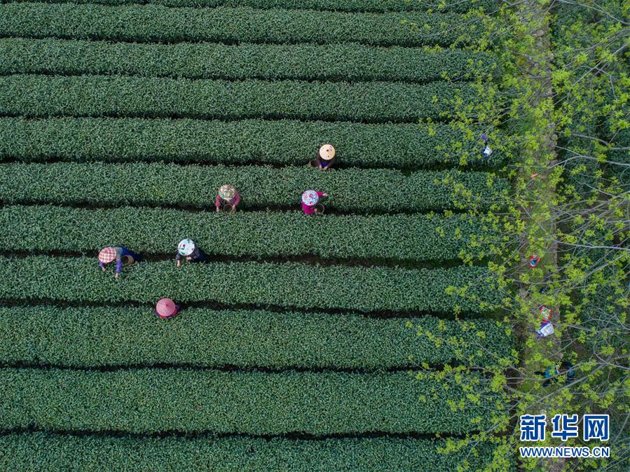 《杨思敏1一5集国语版bd》完整版在线观看-高清电影-天环影视网